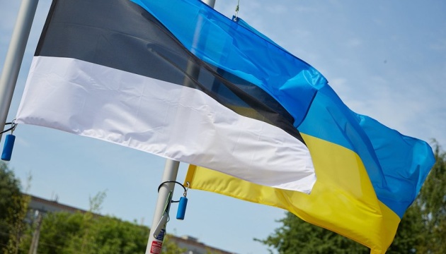 Естонія виділила Україні понад 300 000 на підготовку до зими