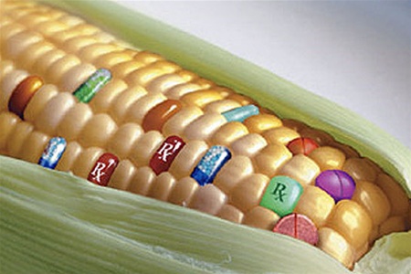 ГМО продукты из Украины в Италии